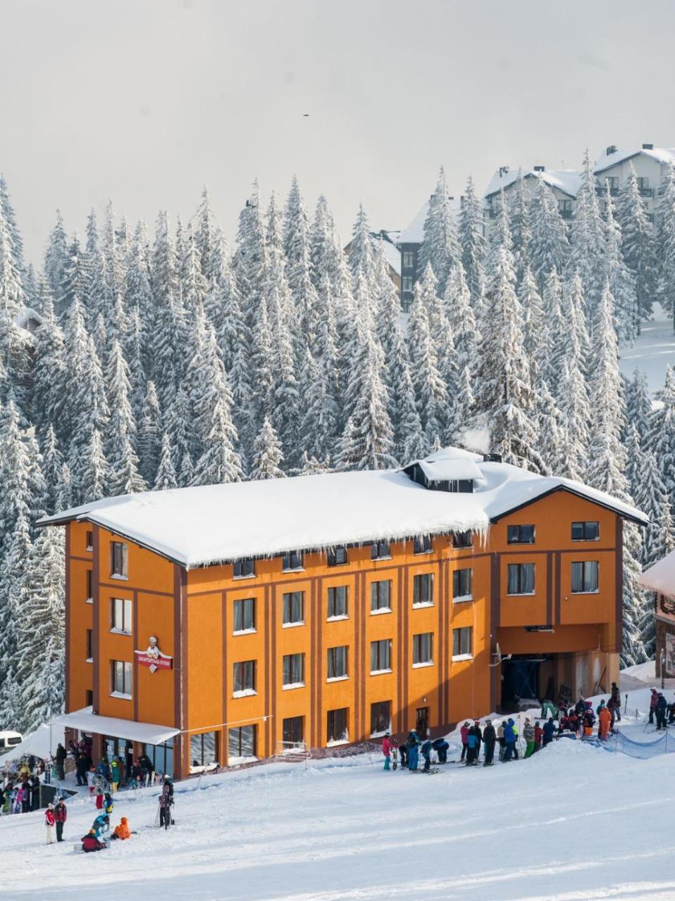 Hotel Vershyna *